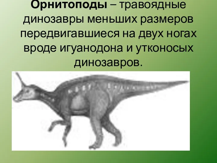 Орнитоподы – травоядные динозавры меньших размеров передвигавшиеся на двух ногах вроде игуанодона и утконосых динозавров.