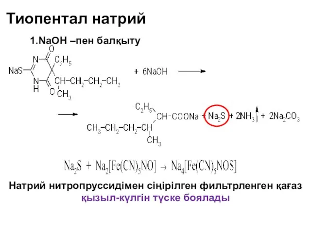 Натрий нитропруссидімен сіңірілген фильтрленген қағаз қызыл-күлгін түске боялады 1.NaOH –пен балқыту Тиопентал натрий
