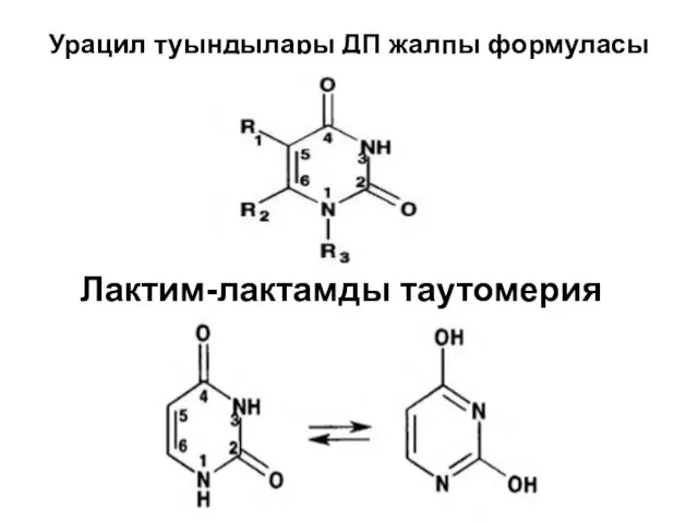 Урацил туындылары ДП жалпы формуласы Лактим-лактамды таутомерия