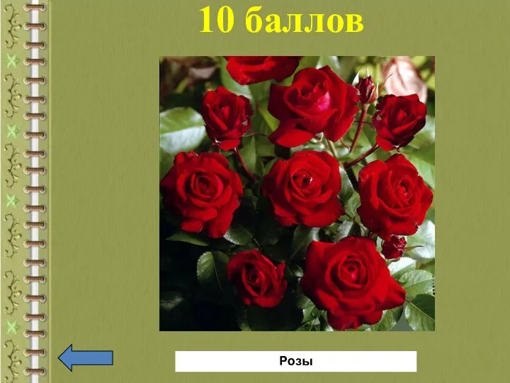 10 баллов Розы