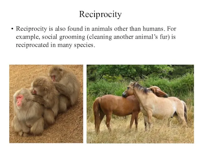 Reciprocity Reciprocity is also found in animals other than humans.