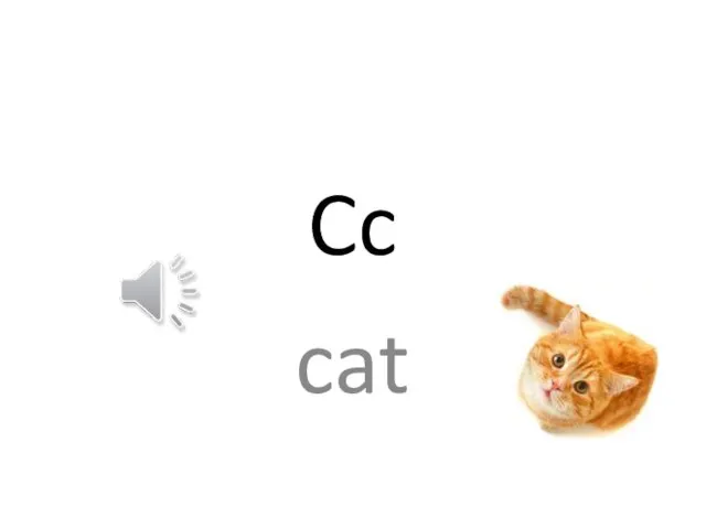 Cc cat