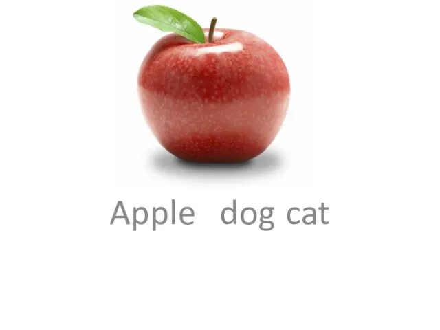 Apple dog cat