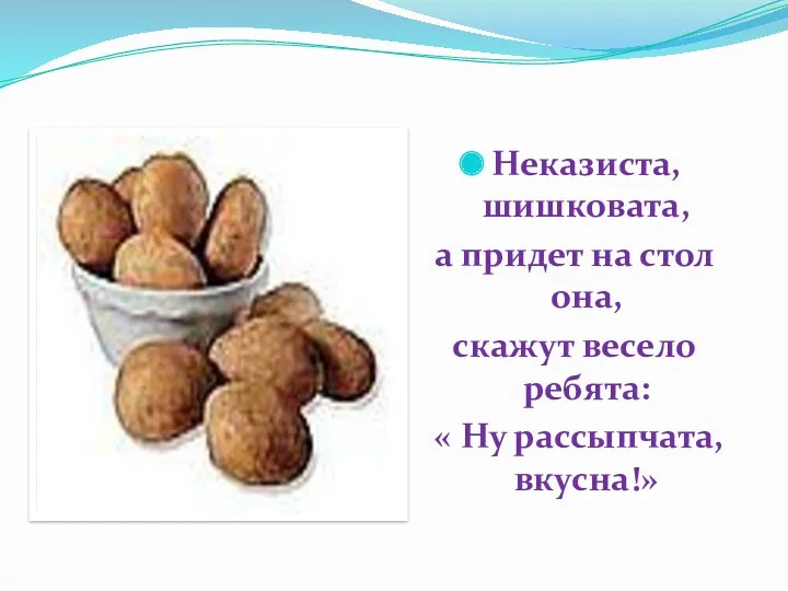 Неказиста, шишковата, а придет на стол она, скажут весело ребята: « Ну рассыпчата, вкусна!»