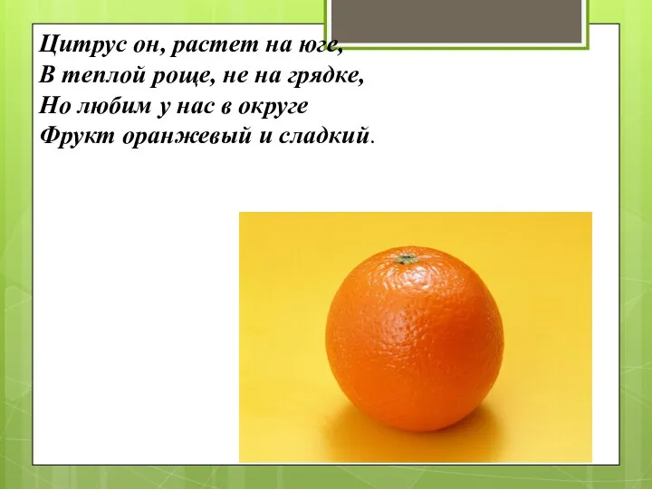 Цитрус он, растет на юге, В теплой роще, не на