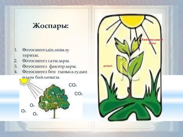 Жоспары: Фотосинтездің ашылу тарихы. Фотосинтез сатылары. Фотосинтез факторлары. Фотосинтез бен