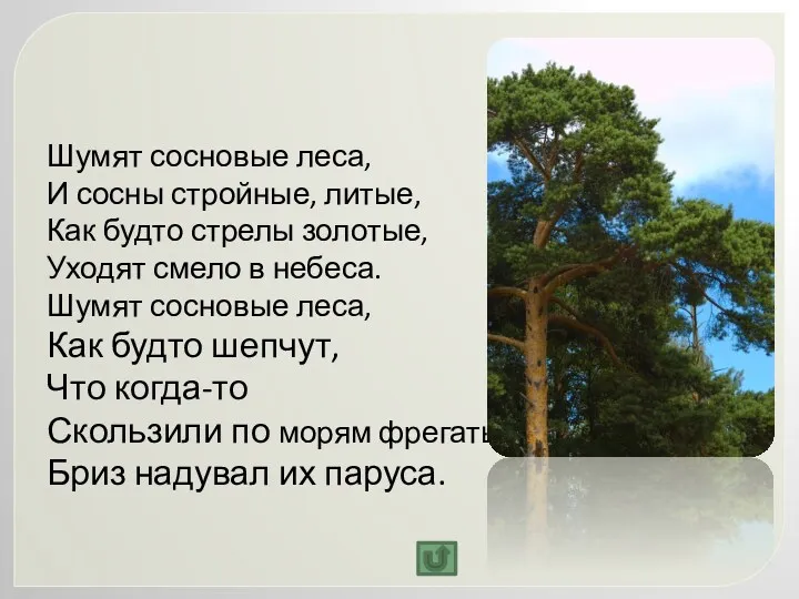 Шумят сосновые леса, И сосны стройные, литые, Как будто стрелы золотые, Уходят смело