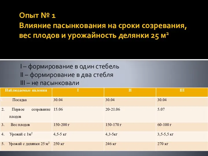 Опыт № 1 Влияние пасынкования на сроки созревания, вес плодов