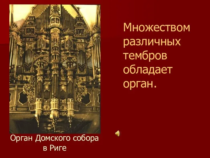 Множеством различных тембров обладает орган. Орган Домского собора в Риге