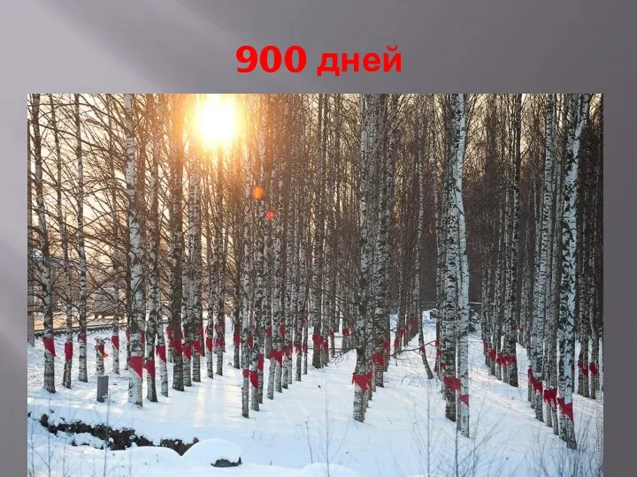 900 дней