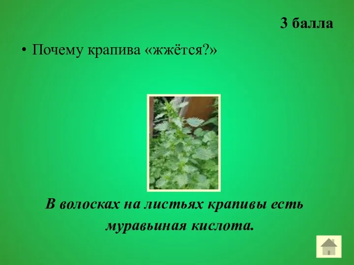 3 балла Почему крапива «жжётся?» В волосках на листьях крапивы есть муравьиная кислота.