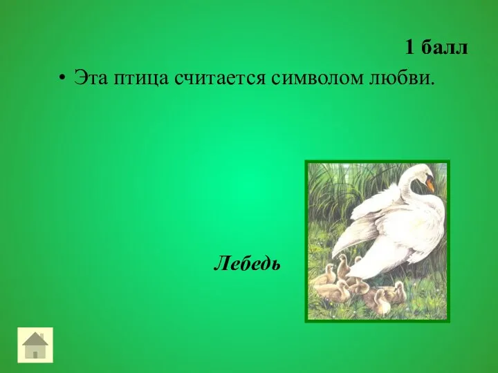 1 балл Эта птица считается символом любви. Лебедь