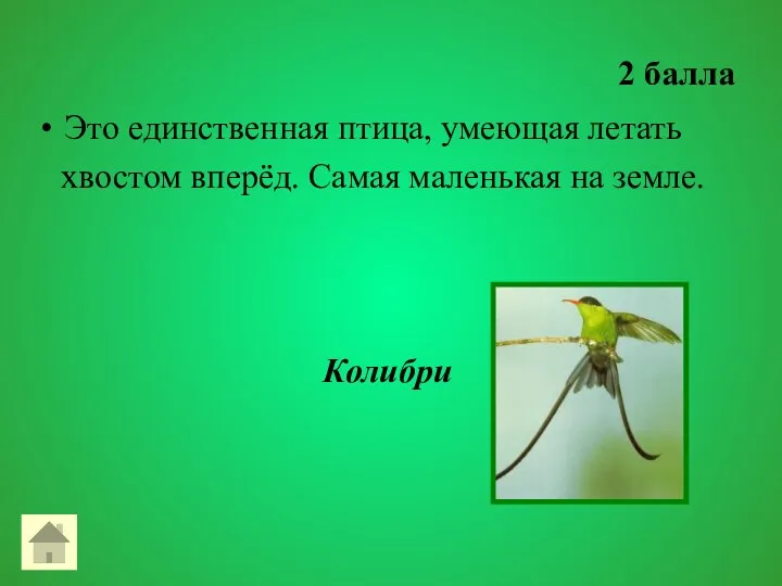 2 балла Это единственная птица, умеющая летать хвостом вперёд. Самая маленькая на земле. Колибри