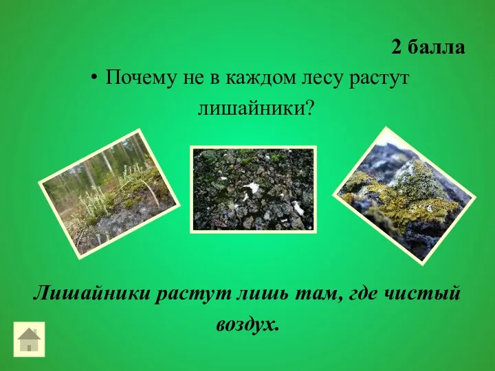 2 балла Почему не в каждом лесу растут лишайники? Лишайники растут лишь там, где чистый воздух.