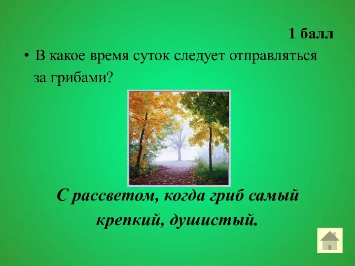 1 балл В какое время суток следует отправляться за грибами?