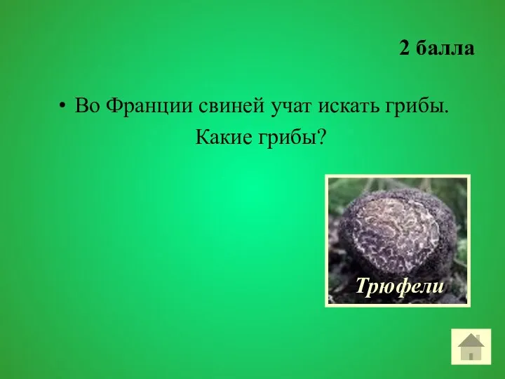 2 балла Во Франции свиней учат искать грибы. Какие грибы? Трюфели