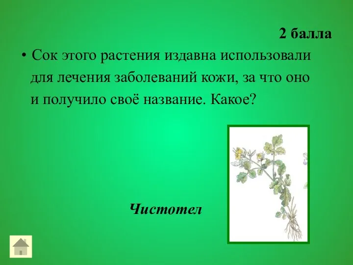 2 балла Сок этого растения издавна использовали для лечения заболеваний