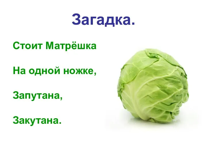 Загадка. Стоит Матрёшка На одной ножке, Запутана, Закутана.