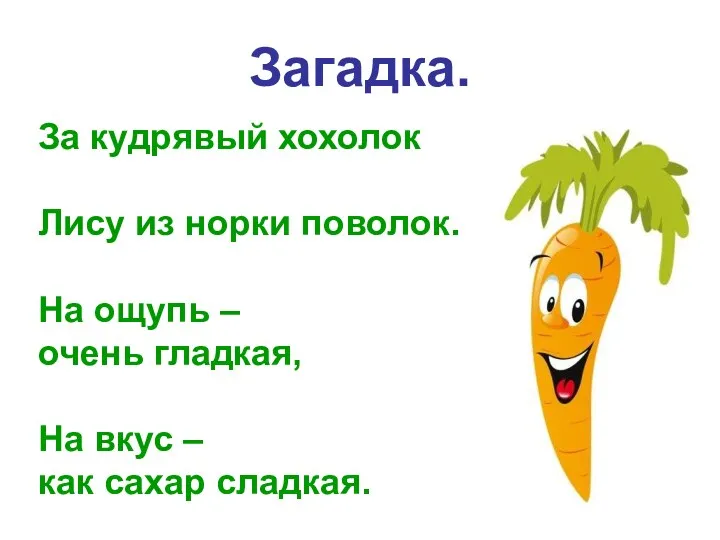 Загадка. За кудрявый хохолок Лису из норки поволок. На ощупь – очень гладкая,