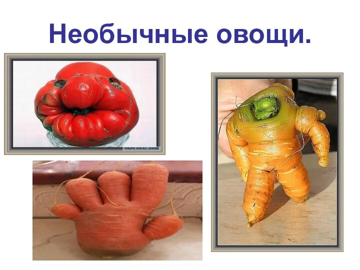 Необычные овощи.