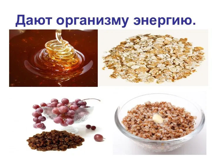 Дают организму энергию.