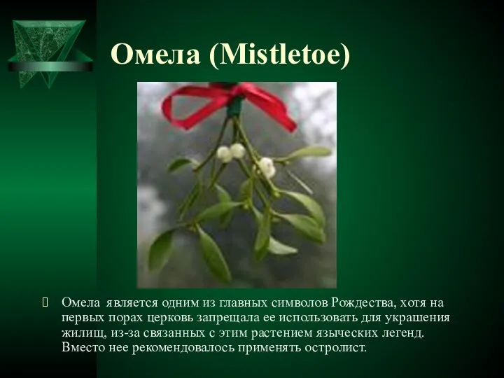 Омела (Mistletoe) Омела является одним из главных символов Рождества, хотя на первых порах