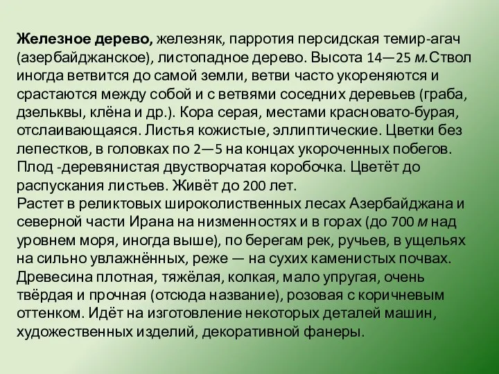 Железное дерево, железняк, парротия персидская темир-агач (азербайджанское), листопадное дерево. Высота