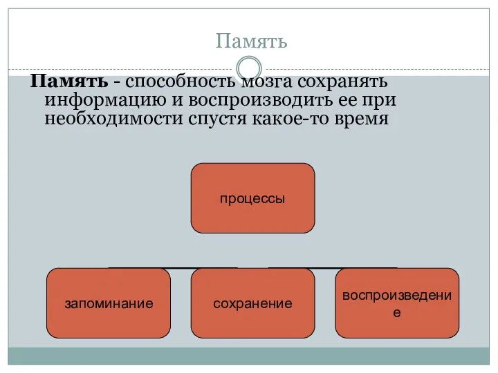 Память Память - способность мозга сохранять информацию и воспроизводить ее при необходимости спустя какое-то время