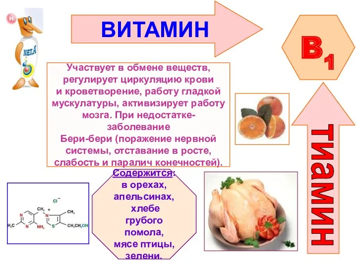 B1 Участвует в обмене веществ, регулирует циркуляцию крови и кроветворение,