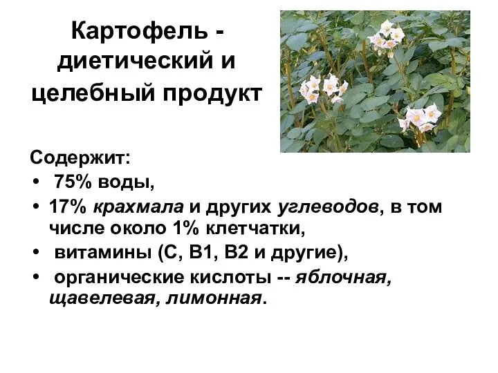 Картофель - диетический и целебный продукт Содержит: 75% воды, 17%