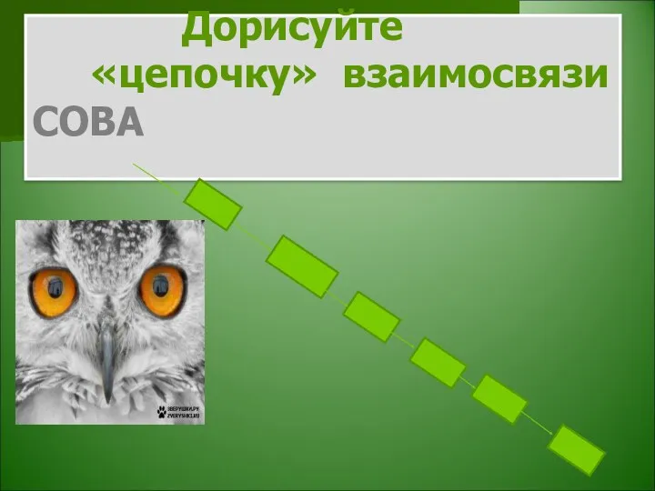 Дорисуйте «цепочку» взаимосвязи СОВА