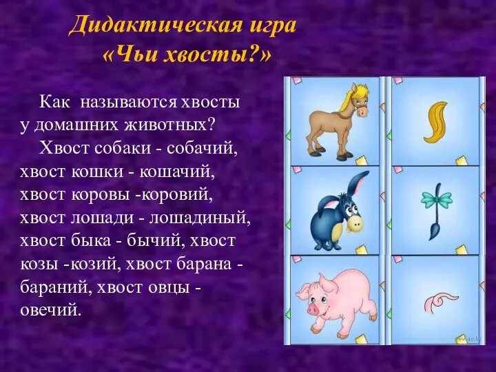 Дидактическая игра «Чьи хвосты?» Как называются хвосты у домашних животных?