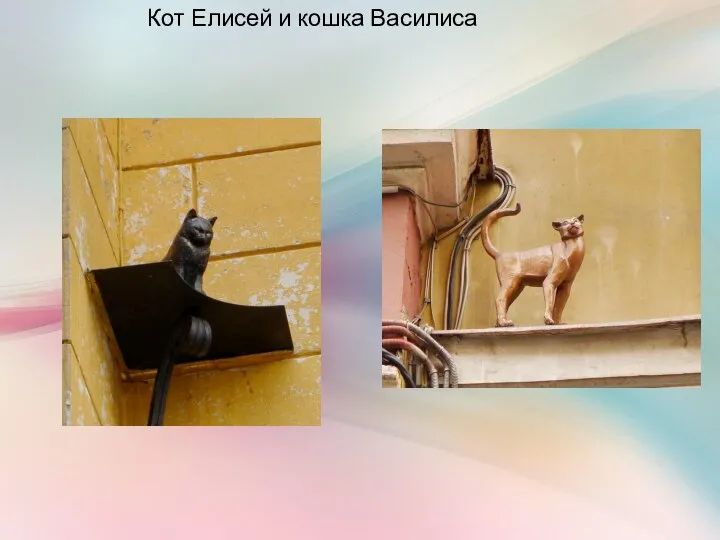 Кот Елисей и кошка Василиса