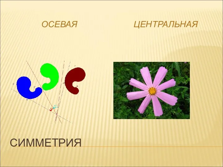 СИММЕТРИЯ ОСЕВАЯ ЦЕНТРАЛЬНАЯ