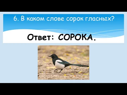 6. В каком слове сорок гласных? Ответ: СОРОКА.