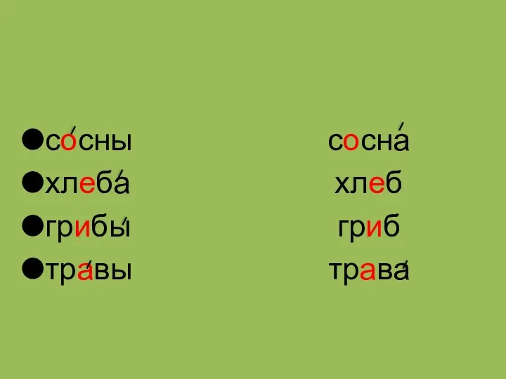 сосны хлеба грибы травы сосна хлеб гриб трава