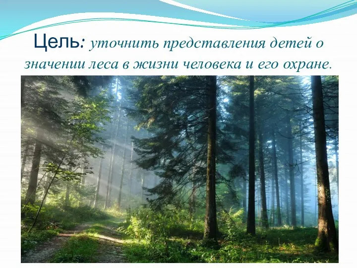Цель: уточнить представления детей о значении леса в жизни человека и его охране.