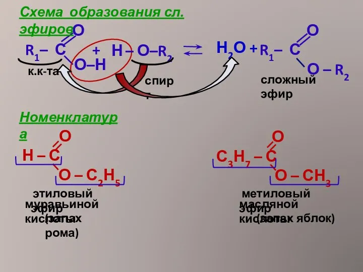 Н2О + этиловый эфир (запах рома) метиловый эфир (запах яблок) муравьиной кислоты масляной