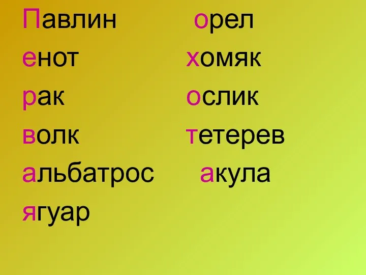 Павлин орел енот хомяк рак ослик волк тетерев альбатрос акула ягуар