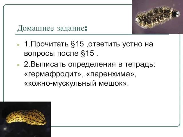 Домашнее задание: 1.Прочитать §15 ,ответить устно на вопросы после §15