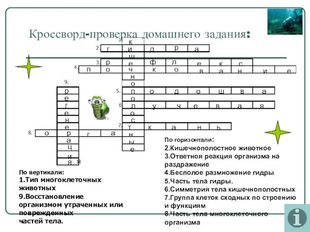 Кроссворд-проверка домашнего задания: 1. 2. 3. 4. 5. 6. 7.