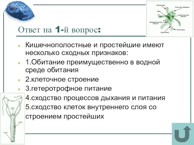 Ответ на 1-й вопрос: Кишечнополостные и простейшие имеют несколько сходных