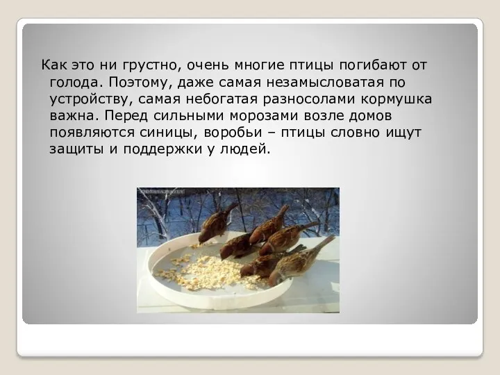 Как это ни грустно, очень многие птицы погибают от голода. Поэтому, даже самая