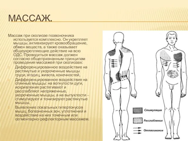 МАССАЖ. Массаж при сколиозе позвоночника используется комплексно. Он укрепляет мышцы,