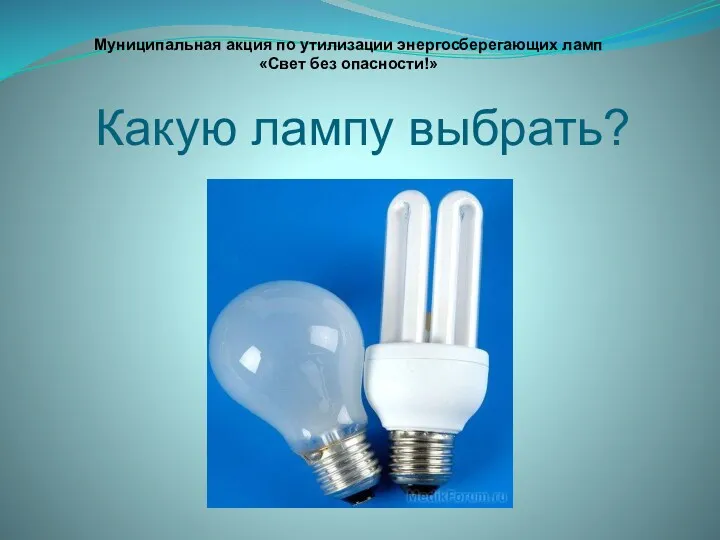 Какую лампу выбрать? Муниципальная акция по утилизации энергосберегающих ламп «Свет без опасности!»