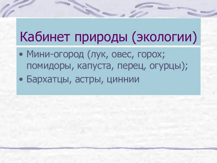 Кабинет природы (экологии) Мини-огород (лук, овес, горох; помидоры, капуста, перец, огурцы); Бархатцы, астры, циннии