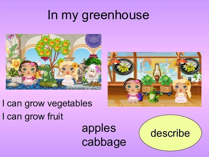 In my greenhouse apples cabbage describe I can grow vegetables I can grow fruit