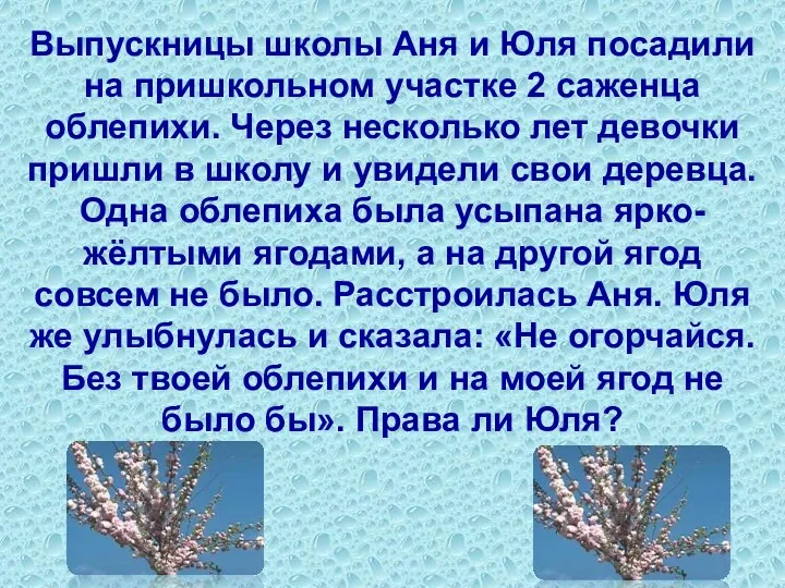 Выпускницы школы Аня и Юля посадили на пришкольном участке 2