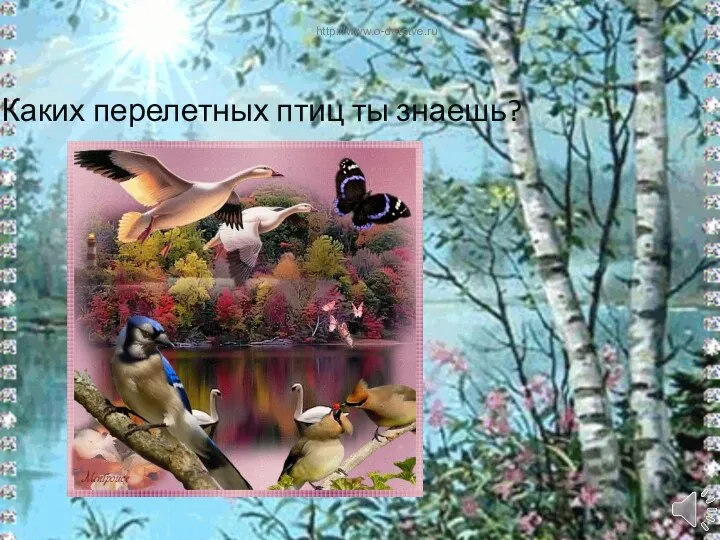 Каких перелетных птиц ты знаешь? http://www.o-detstve.ru