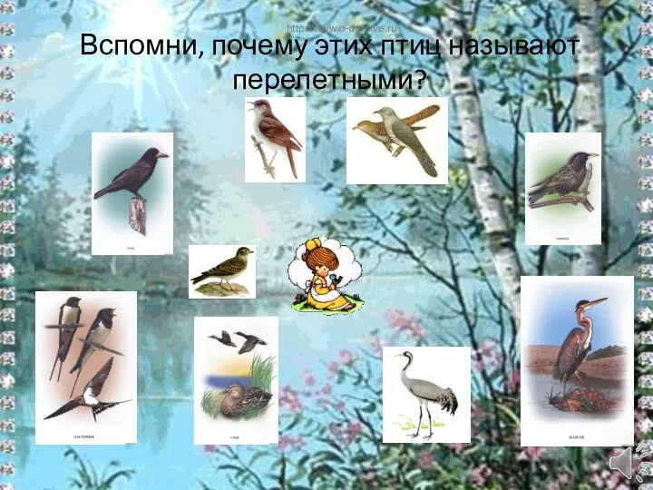 Вспомни, почему этих птиц называют перелетными? http://www.o-detstve.ru